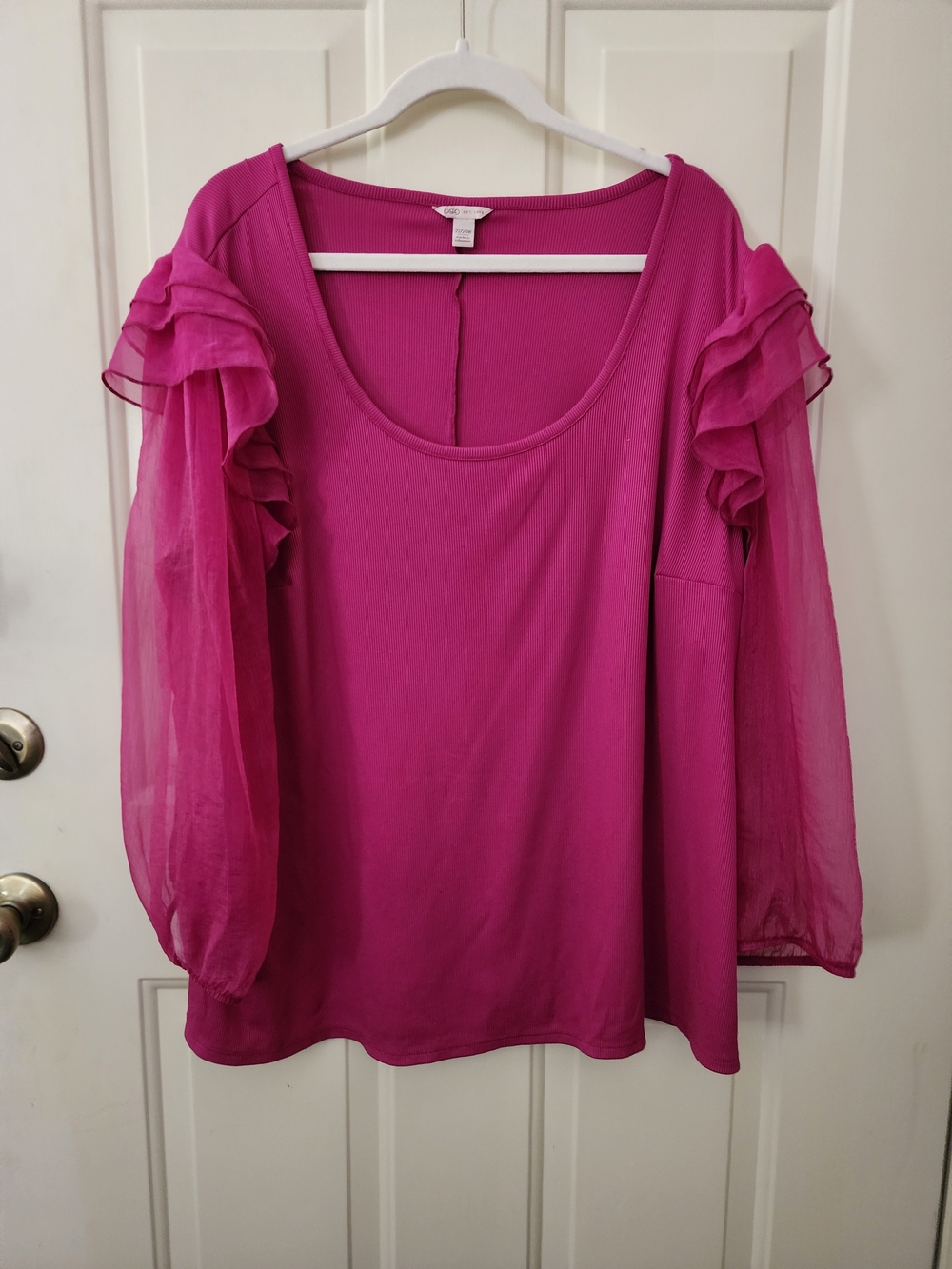 Atelier Sona Magenta Scoop Neck Top with Sheer Ruffle Sleeves